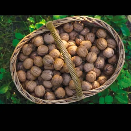 Villa Mountain