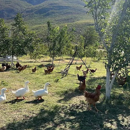 Mountain Villa Kukes